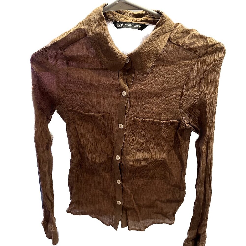 Zara Rouched Brown Long Sleeve Top (Size XS)